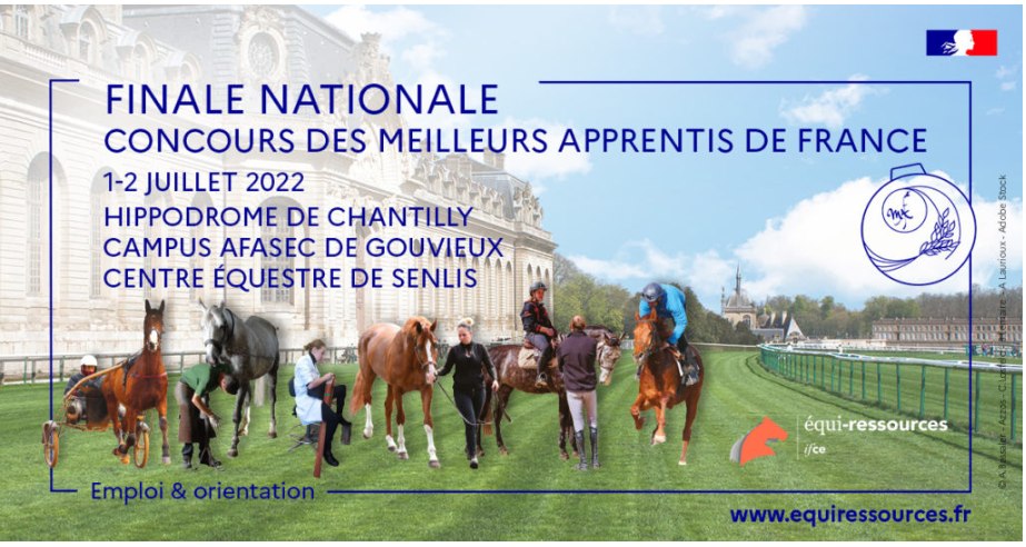 Conseil Des Chevaux Hauts De France Finale Nationale Du Concours Dun